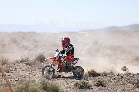 IMG_2229-88z