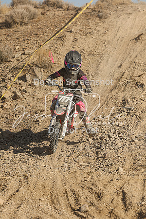 IMG_0395-777e
