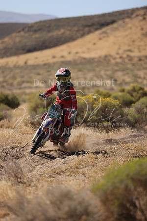 IMG_3448-225y