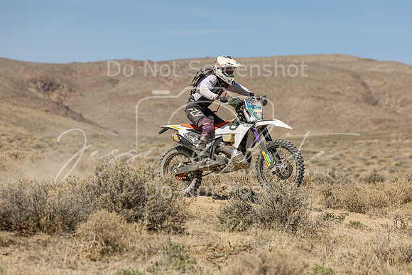 IMG_8197-262w