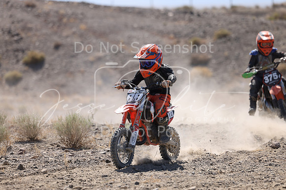 IMG_2098-88z