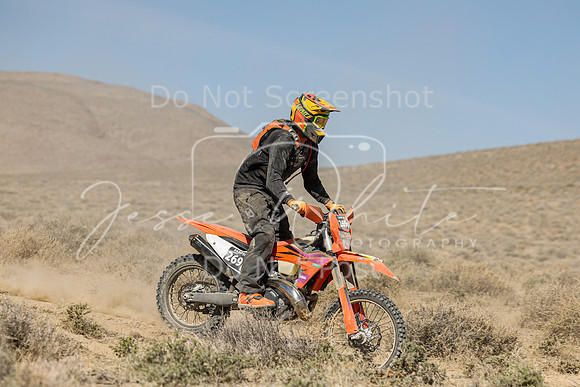 IMG_8074-269p