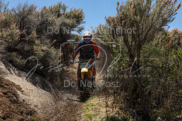 IMG_0385-496b
