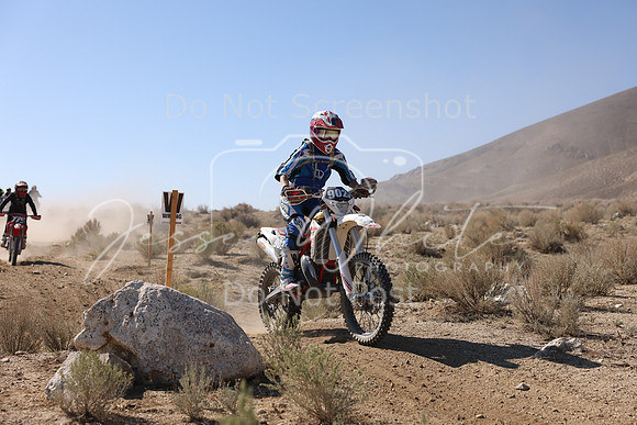 IMG_6874-902v