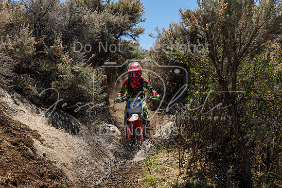 IMG_0607-25y