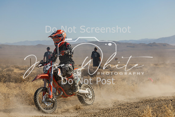 IMG_0211-94y