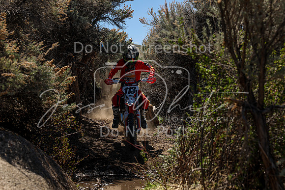 IMG_0231-113j