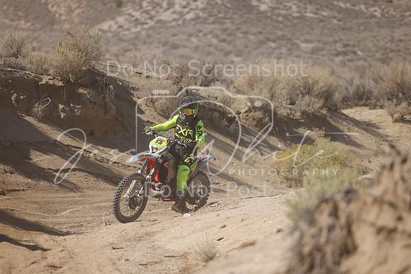 IMG_7062-97v