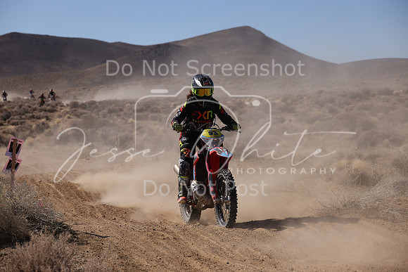 IMG_8661-97v