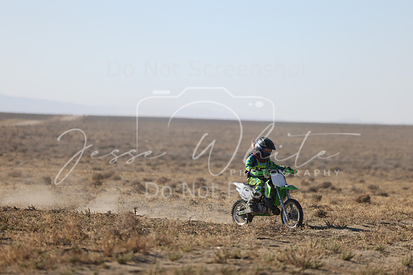 IMG_6203-100y
