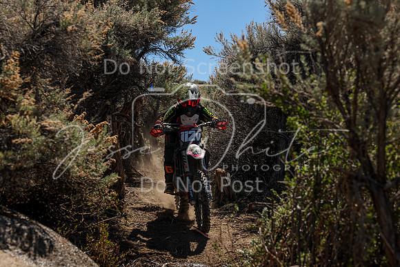IMG_0652-112v