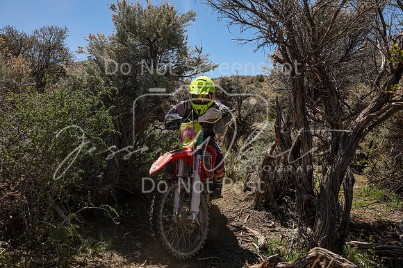 IMG_0463-474v