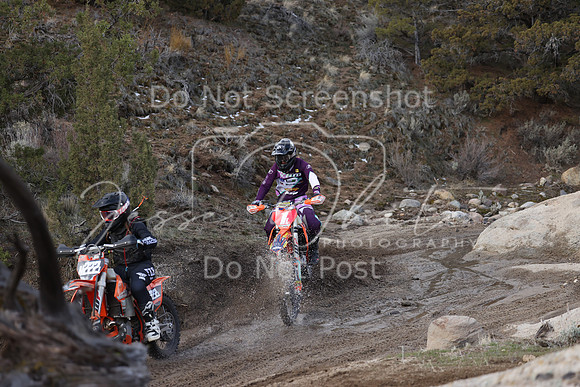 IMG_7080-n222l-1l