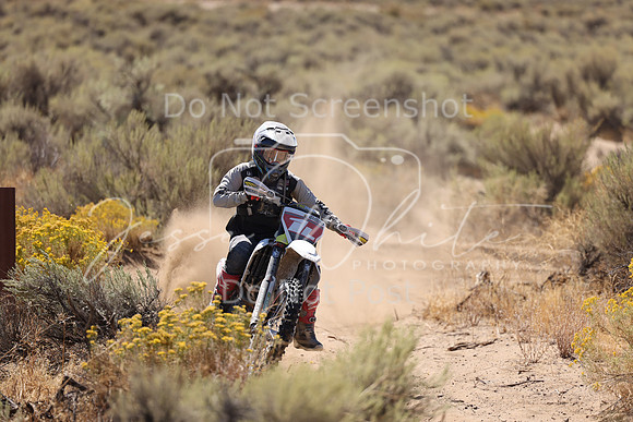 IMG_1435-1l