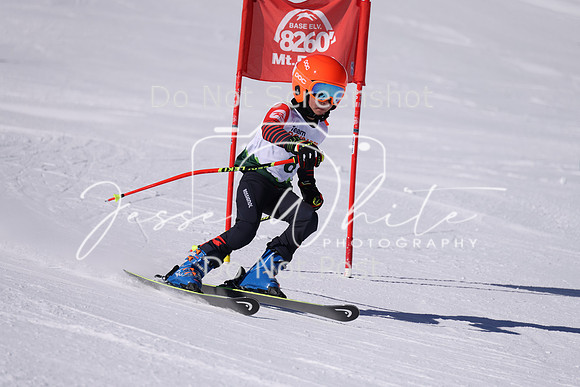 IMG_9216-2