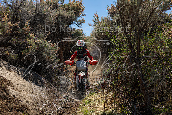 IMG_0486-666y