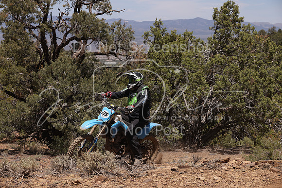 IMG_5349-t25