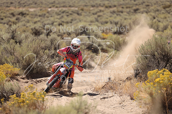 IMG_1652-nt384