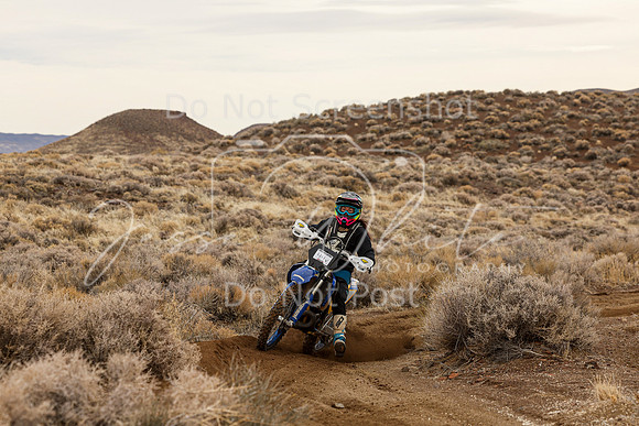 IMG_0739-44v