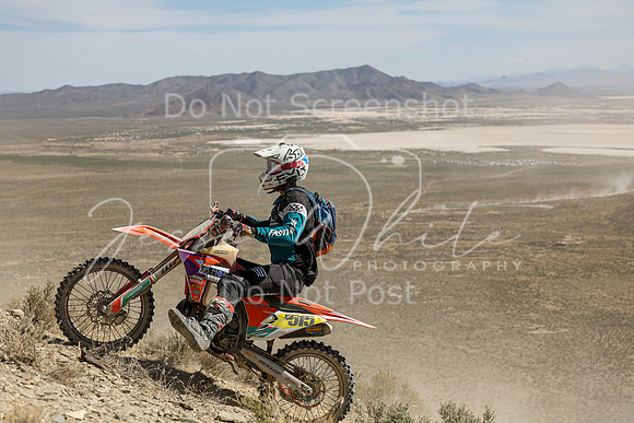 IMG_3527-n515