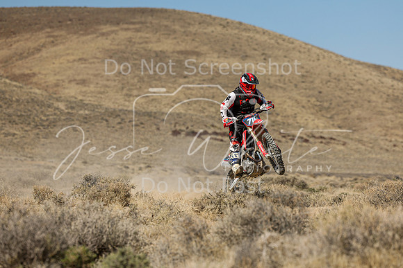 IMG_7935-711p