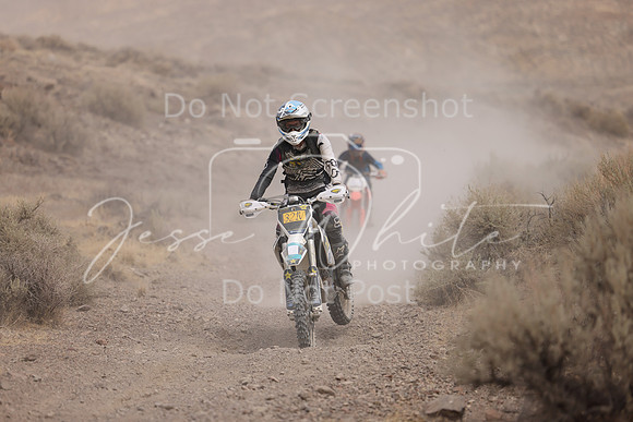 IMG_9008-321v
