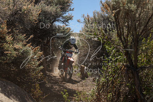 IMG_0222-58j