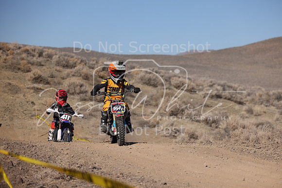 IMG_7383-954z-411y