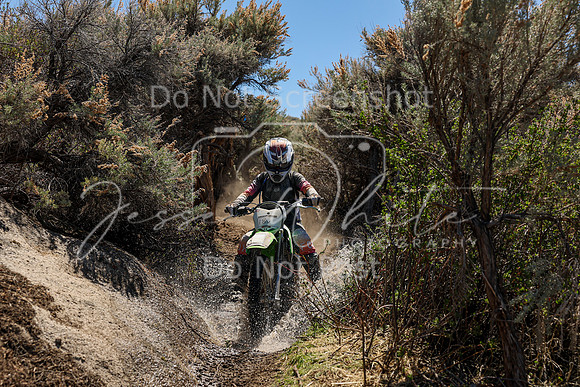 IMG_0594-18v