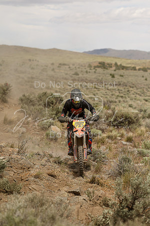 IMG_5035-545p