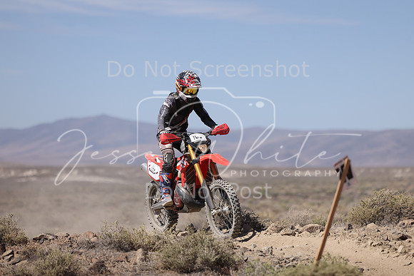 IMG_4321-16n