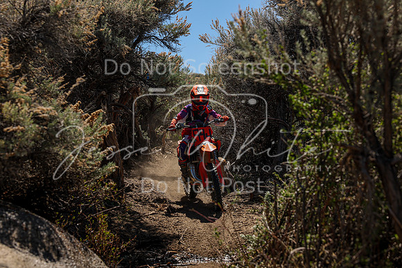 IMG_0565-94j