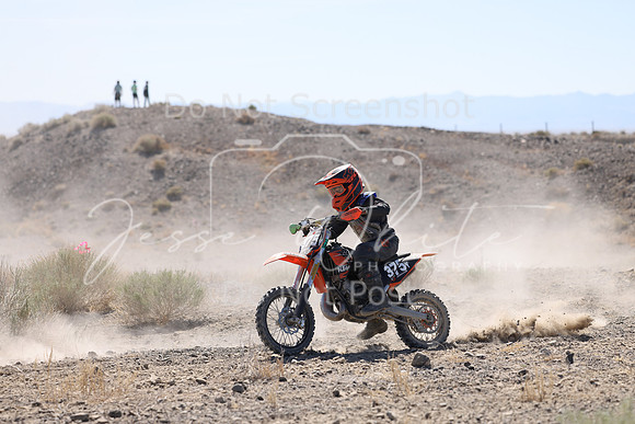 IMG_2101-375y