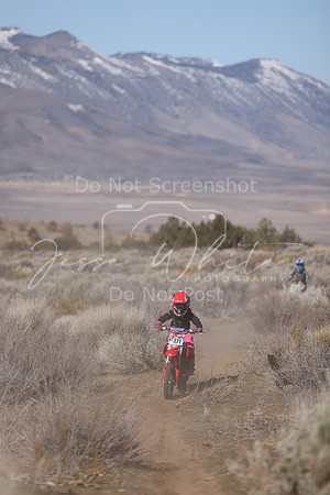 IMG_5648-nt371