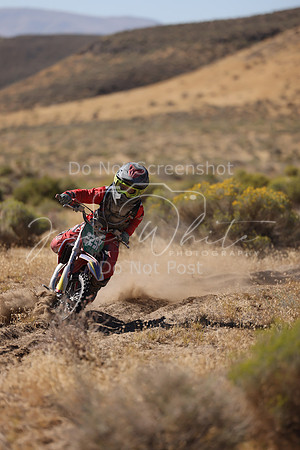 IMG_3450-225y