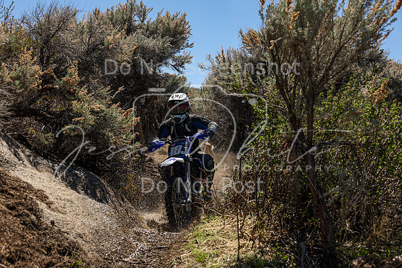 IMG_0516-18j