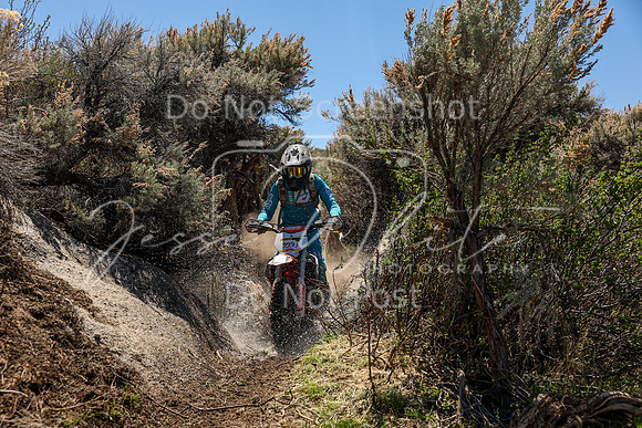 IMG_0290-999j