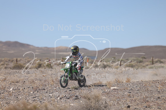 IMG_2042-28y