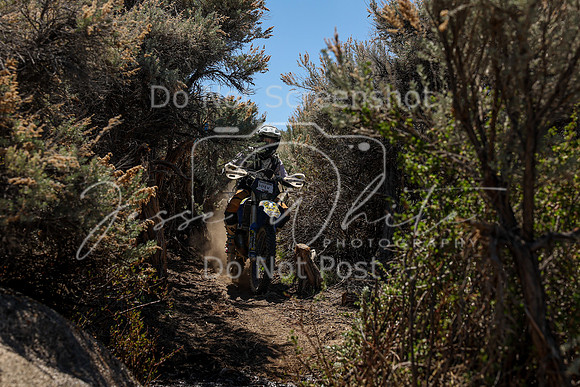 IMG_0306-44v