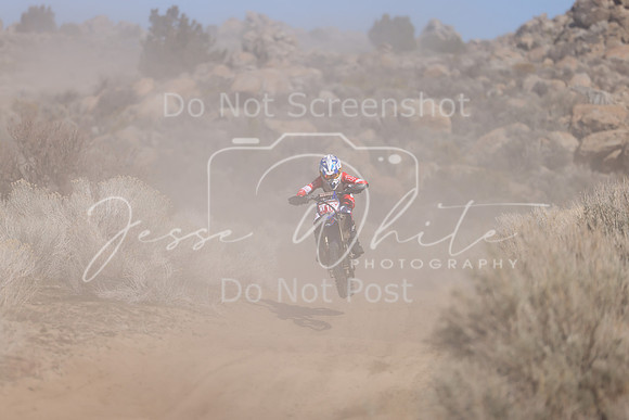 IMG_6216-nt110