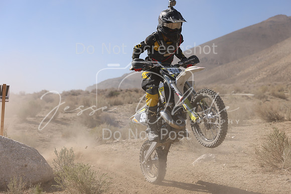 IMG_6798-99j