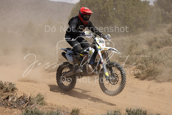 IMG_2009-309