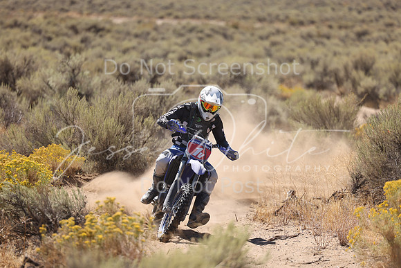 IMG_1442-1v