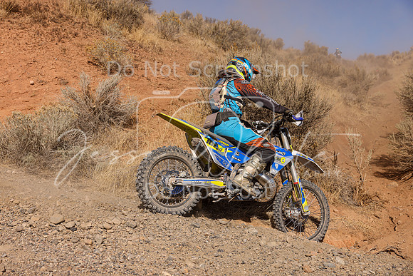 IMG_3031-702w