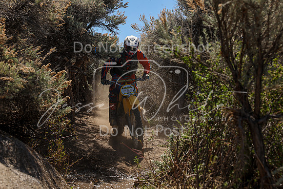 IMG_0384-496b
