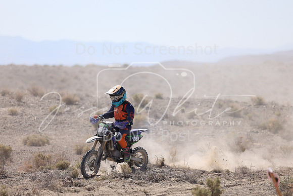 IMG_2312-166y