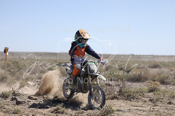 IMG_2486-166y
