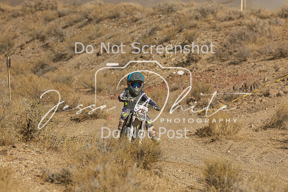IMG_0316-210z