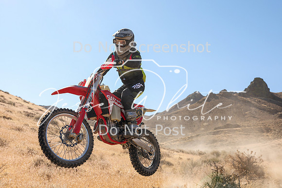 IMG_9481-223n