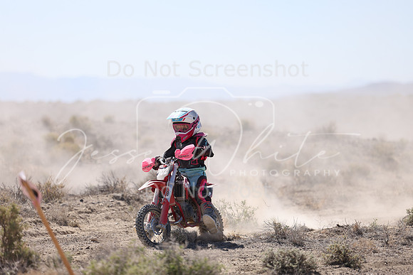 IMG_2249-802